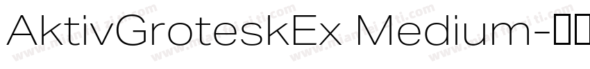 AktivGroteskEx Medium字体转换